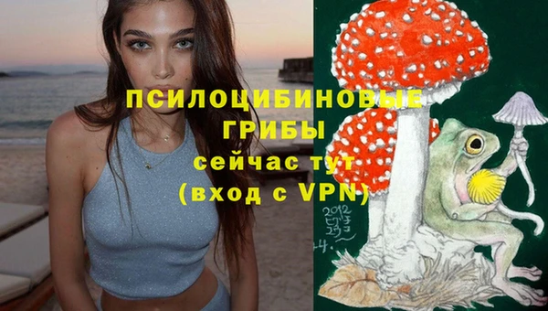 наркотики Магас