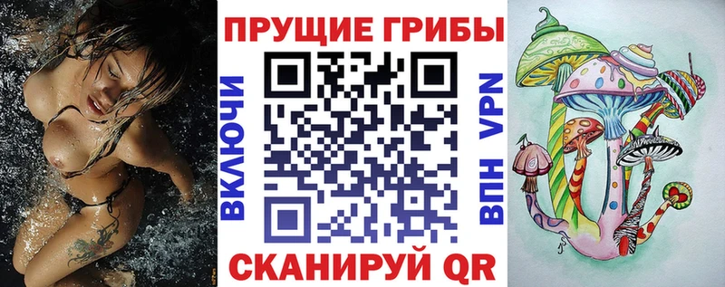 blacksprut рабочий сайт Вилюйск Галлюциногенные грибы мицелий