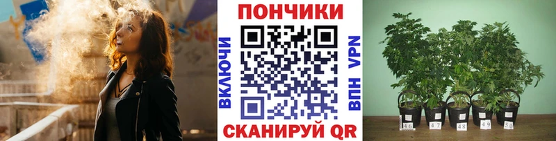Шишки марихуана Ganja  Вилюйск 